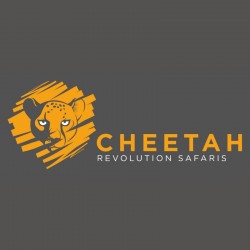 Cheetah Revolution Safaris